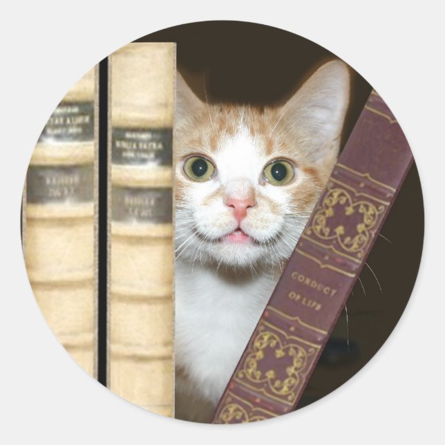Katzen und Bücher Runder Aufkleber (Vorderseite)