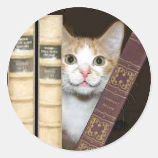 Katzen und Bücher Runder Aufkleber