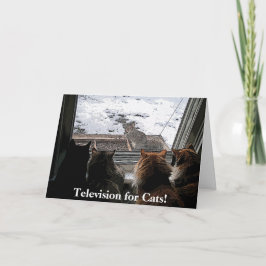 Katzen und Eichhörnchen Karte