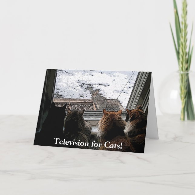 Katzen und Eichhörnchen Karte (Vorderseite)