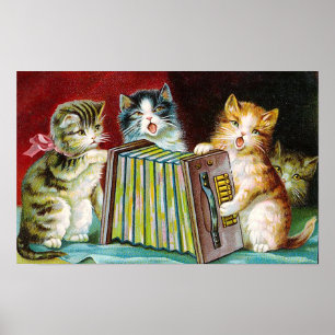 "Katzen und eine Squeezebox" Poster