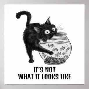 Katzen und Fische Poster