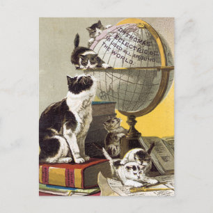 Katzen und Globus Postkarte
