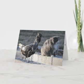 Katzen-und Huhn-Gruß-Karte Karte