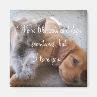 Katzen und Hunde Liebe Magnet