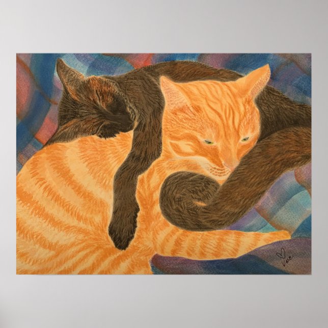 Katzen und Kariert Poster (Vorne)