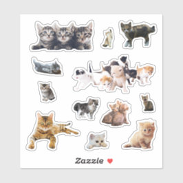 Katzen und Kätzchen Fotos Set Kontur Aufkleber