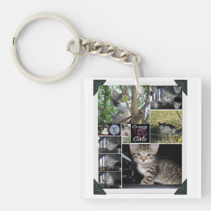 Katzen und Kätzchen Gerahmte FotoCollage, Schlüsselanhänger