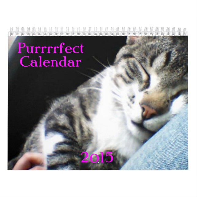 Katzen- und Kätzchenkalender 2015 Kalender (Titelbild)