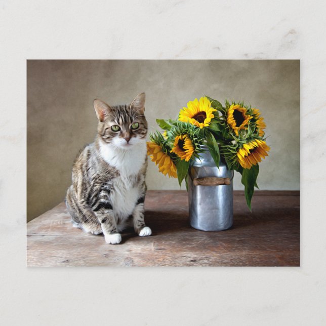 Katzen und Sonnenblumen Postkarte (Vorderseite)