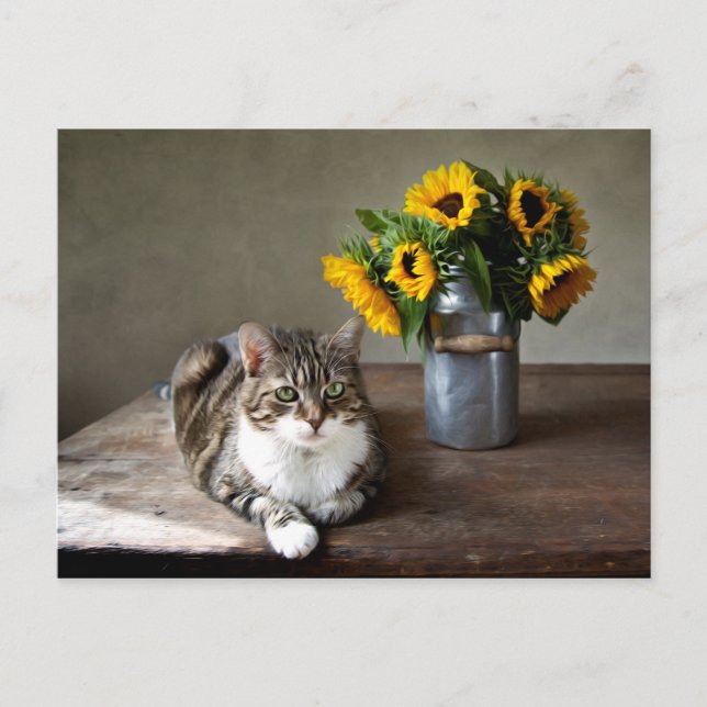 Katzen und Sonnenblumen Postkarte (Vorderseite)