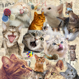 Katzen und Spielzeug Collage Tasche