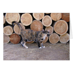 Katzen- und Woodpilekarte