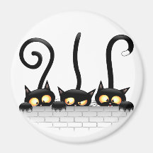 Katzen Ungezogene, spielerische und lustige Charak