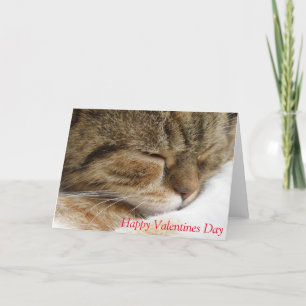 Katzen-Valentinstag Karte