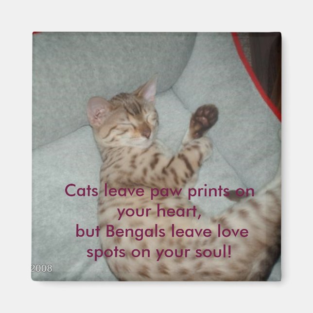 Katzen verließ Pfotendrucke auf deinem Herzen, abe Magnet (Vorne)