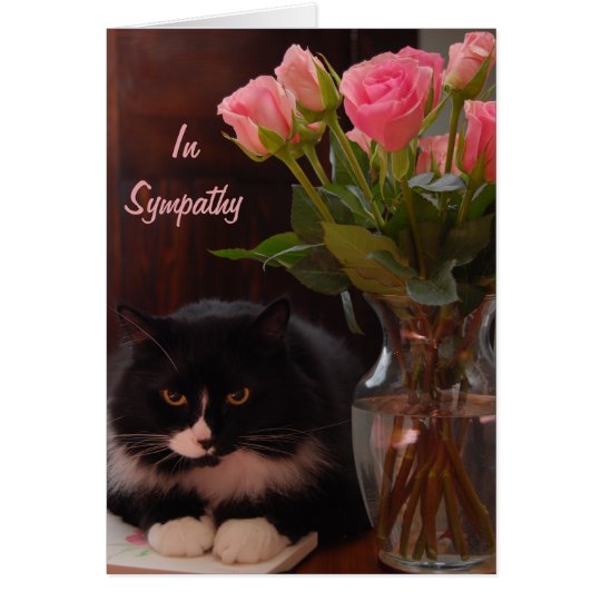 Katzen-Verlust-Beileid mit rosa Rosen Karte