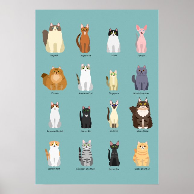 Katzen, verschiedene Katzen, Katzen Kunst Poster (Vorne)
