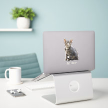 Katzen Vintages Portrait Pet Tomcat Tierdesign