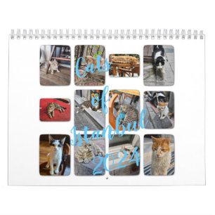 Katzen von Istanbul Kalender