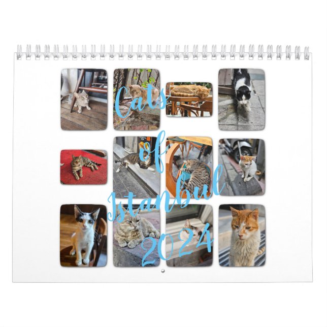 Katzen von Istanbul Kalender (Titelbild)