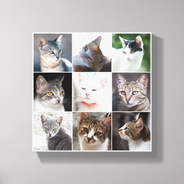 KATZEN - Vorlage Leinwanddruck (Vorderseite)