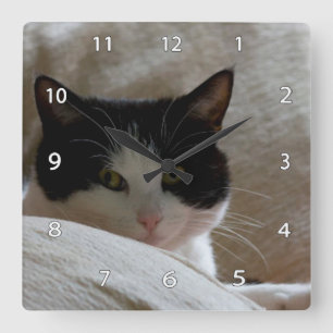Katzen-Wanduhr Quadratische Wanduhr