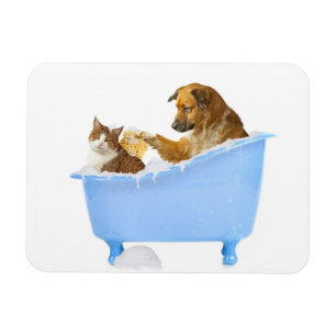 Katzen-Wäsche Magnet