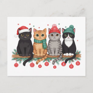 Katzen Weihnachten Schwarz Orange Tabby Tuxedo Müt