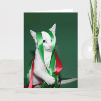 Katzen-Weihnachtshilfe Feiertagskarte