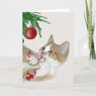 Katzen-Weihnachtsspaß Feiertagskarte