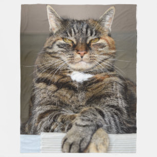 KATZEN WISSEN, DASS SIE REGELN FLEECEDECKE