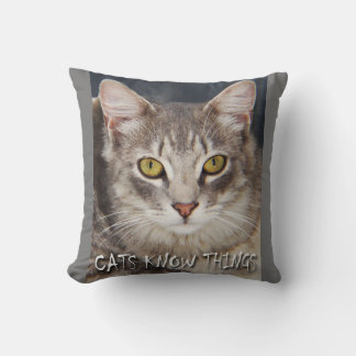 KATZEN WISSEN DINGE KISSEN
