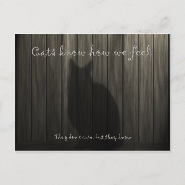 Katzen wissen, wie wir uns fühlen postkarte (Vorderseite)