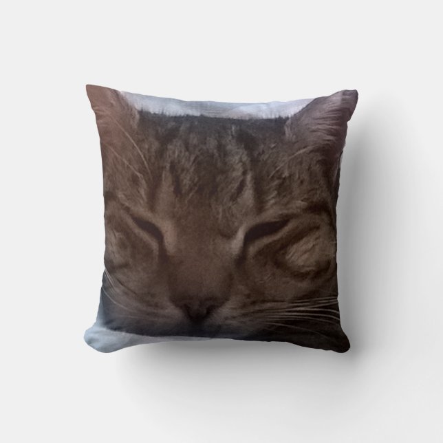 Katzen-Wurfs-Kissen Kissen (Vorderseite)