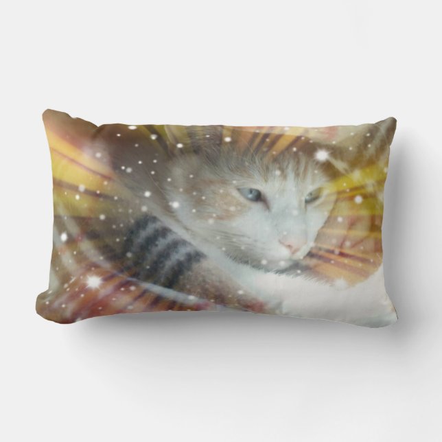 Katzen-Wurfs-Kissen Lendenkissen (Vorderseite)