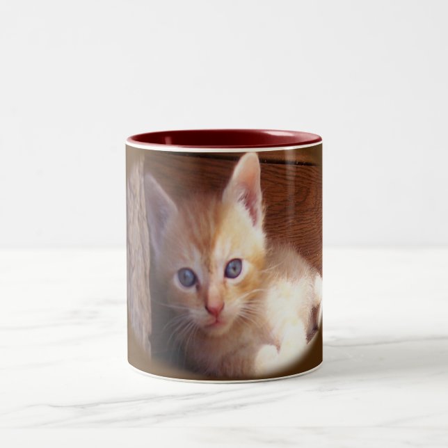 Katzen Zweifarbige Tasse (Mittel)