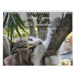 Katzen Zyperns nach PaphosLebenskalender Kalender