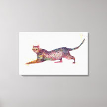 Katzenabstrakt