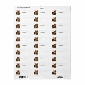 Katzenadressen-Etiketten in grauer Tabelle