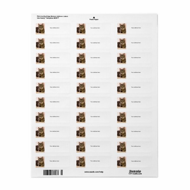 Katzenadressen-Etiketten in grauer Tabelle (Vorne)
