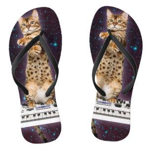 Katzenangriffe wieder flip flops