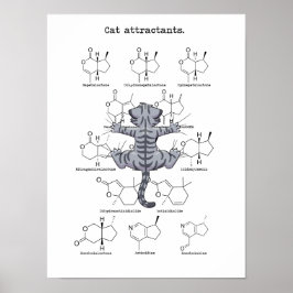 Katzenattraktion Poster