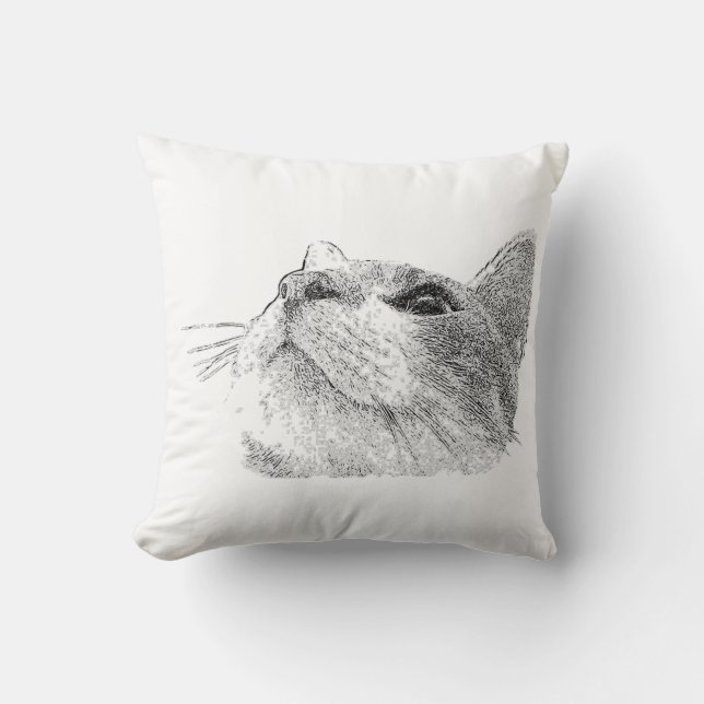 Katzenaufkissen Kissen (Vorderseite)