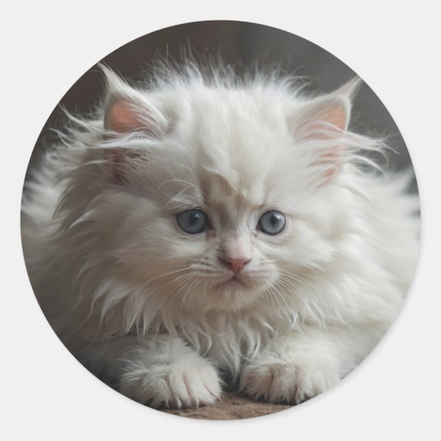 Katzenaufkleber Runder Aufkleber (Vorderseite)