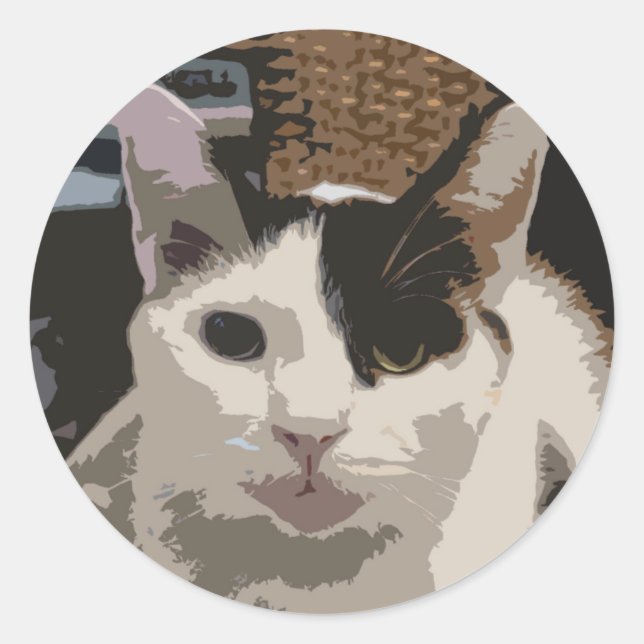 Katzenaufkleber Runder Aufkleber (Vorderseite)