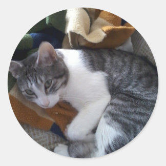 Katzenaufkleber Runder Aufkleber