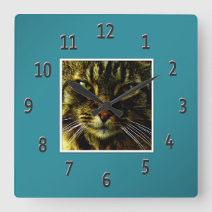 Katzenaugen, die aquamarines gerahmtes Foto Quadratische Wanduhr