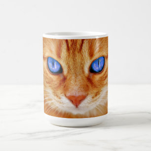 Katzenaugen Gesicht Tiger Makrele rot Katze Kaffeetasse