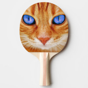 Katzenaugen Gesicht Tiger Makrele rot Katze Tischtennis Schläger